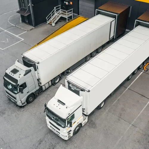 slider_1-1-copyright